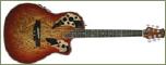 Shallow-Bowl-Cutaway Gitarre