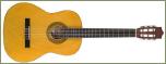 Klassik Gitarre 4/4 Modell