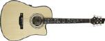 Dreadnought Akustik Westerngitarre
